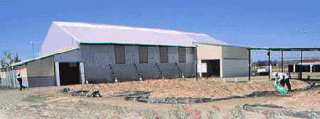 Planta de reciclado de residuos